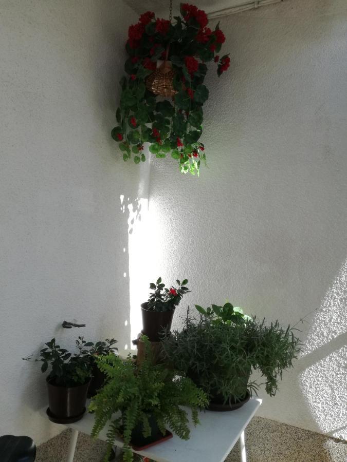 Apartments Culav Makarska Kültér fotó
